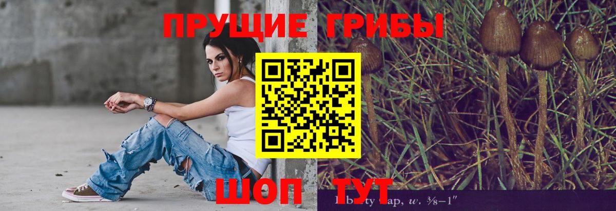 хочу наркоту  Псилоцибиновые грибы прущие грибы  Вход с VPN  Гусиноозёрск 