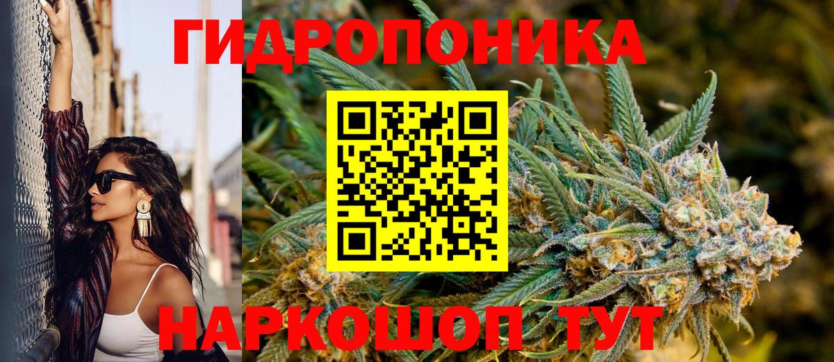 Канабис семена  Вход с VPN  Бошки марихуана OG Kush  Гусиноозёрск 